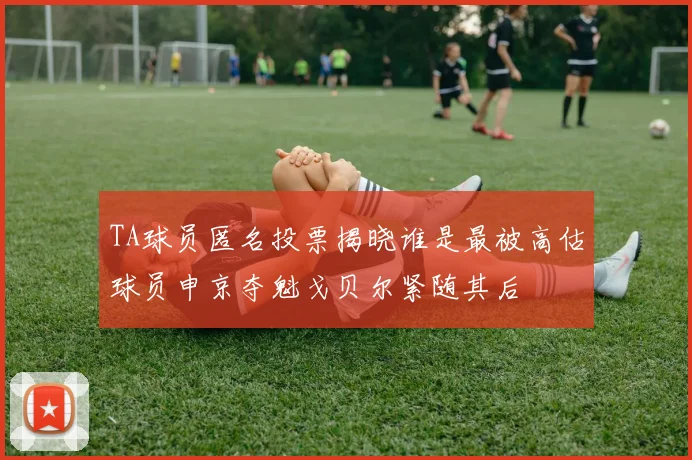 TA球员匿名投票揭晓谁是最被高估球员申京夺魁戈贝尔紧随其后
