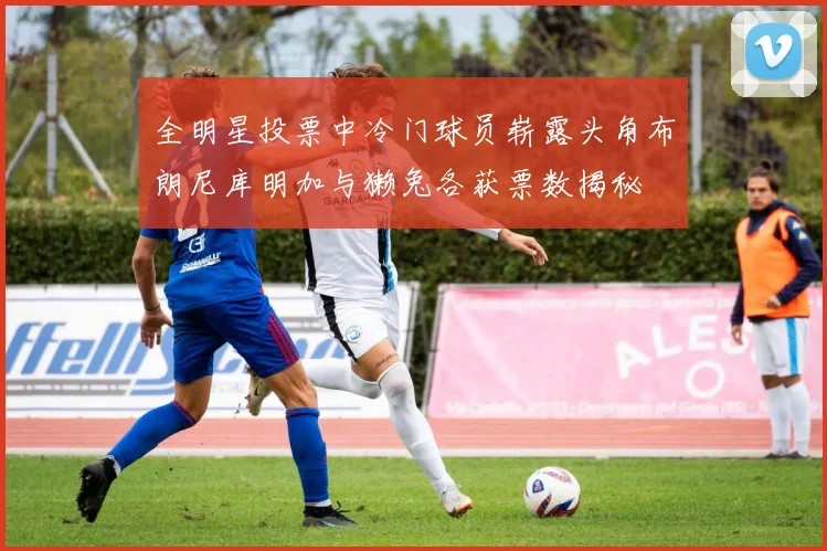 全明星投票中冷门球员崭露头角布朗尼库明加与獭兔各获票数揭秘