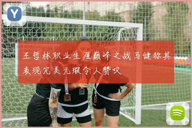王哲林职业生涯巅峰之战马健称其表现完美无瑕令人赞叹